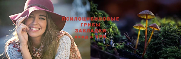 дмт Карпинск