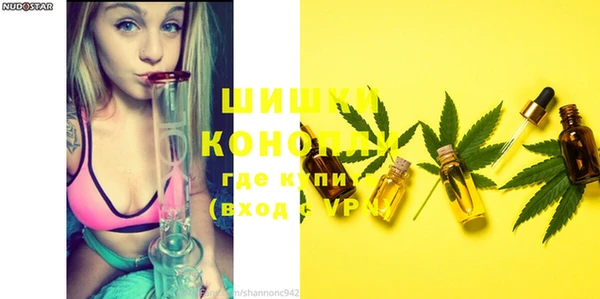 дмт Карпинск