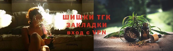 дмт Карпинск