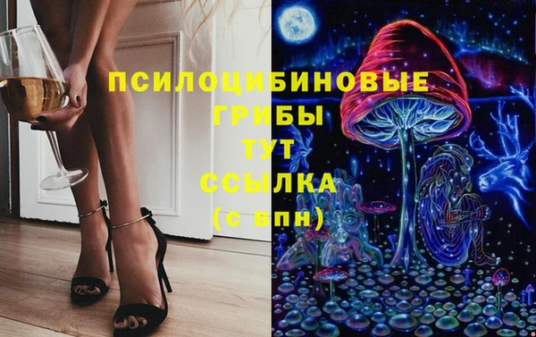 дмт Карталы