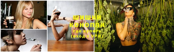 spice Касимов