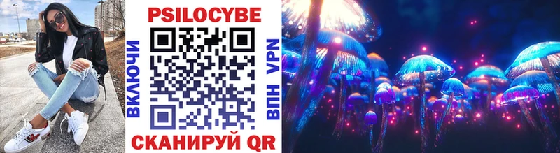 Купить где  Верхняя Тура  Галлюциногенные грибы Psilocybe 